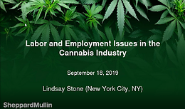 Cannabis Webinar Wednesday: Labor and Employment Issues in the Cannabis Industry