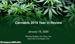 Cannabis Webinar Wednesday: Cannabis 2019 Year In Review