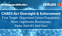 CARES Act Oversight & Enforcement