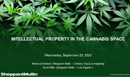 Cannabis Webinar Wednesday - Intellectual Property in the Cannabis Space