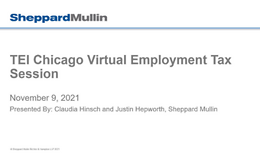 TEI Chicago Virtual Employment Tax Session