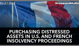 Purchasing Distressed Assets in U.S. and French Insolvency Proceedings