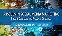 IP Issues in Social Media Marketing – Recent Case Law and Practical Guidance