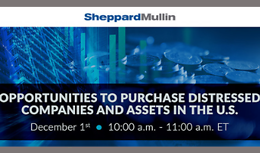 Opportunities to Purchase Distressed Companies and Assets in the U.S.