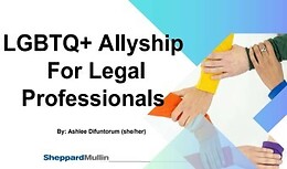 LGBTQ+ Allyship for Legal Professionals