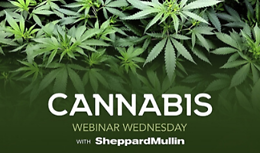 Cannabis Webinar Wednesday: Breaking Down COVID-19’s Impacts on the Cannabis Industry