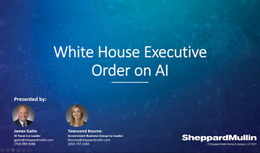 Flash Briefing on White House Executive Order on AI Regulation and Policy