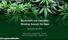 Cannabis Webinar Wednesday: Blockchain and Cannabis - Weeding Through the Hype