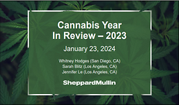 Cannabis Year in Review - 2023